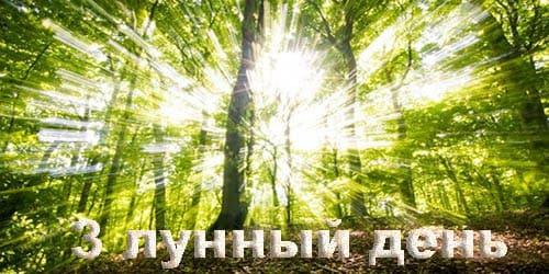 3 лунные сутки