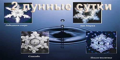 2 лунные сутки