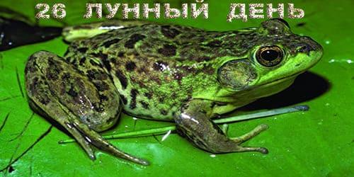 26 лунный день