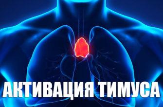 Активация тимуса