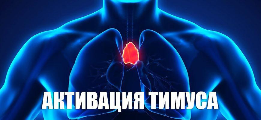 Активация тимуса