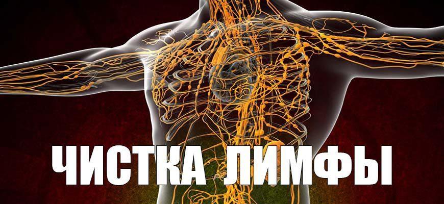 Чистка лимфы