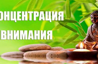 Концентрация внимания