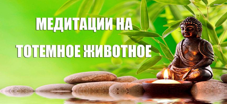 Медитации на тотемное животное